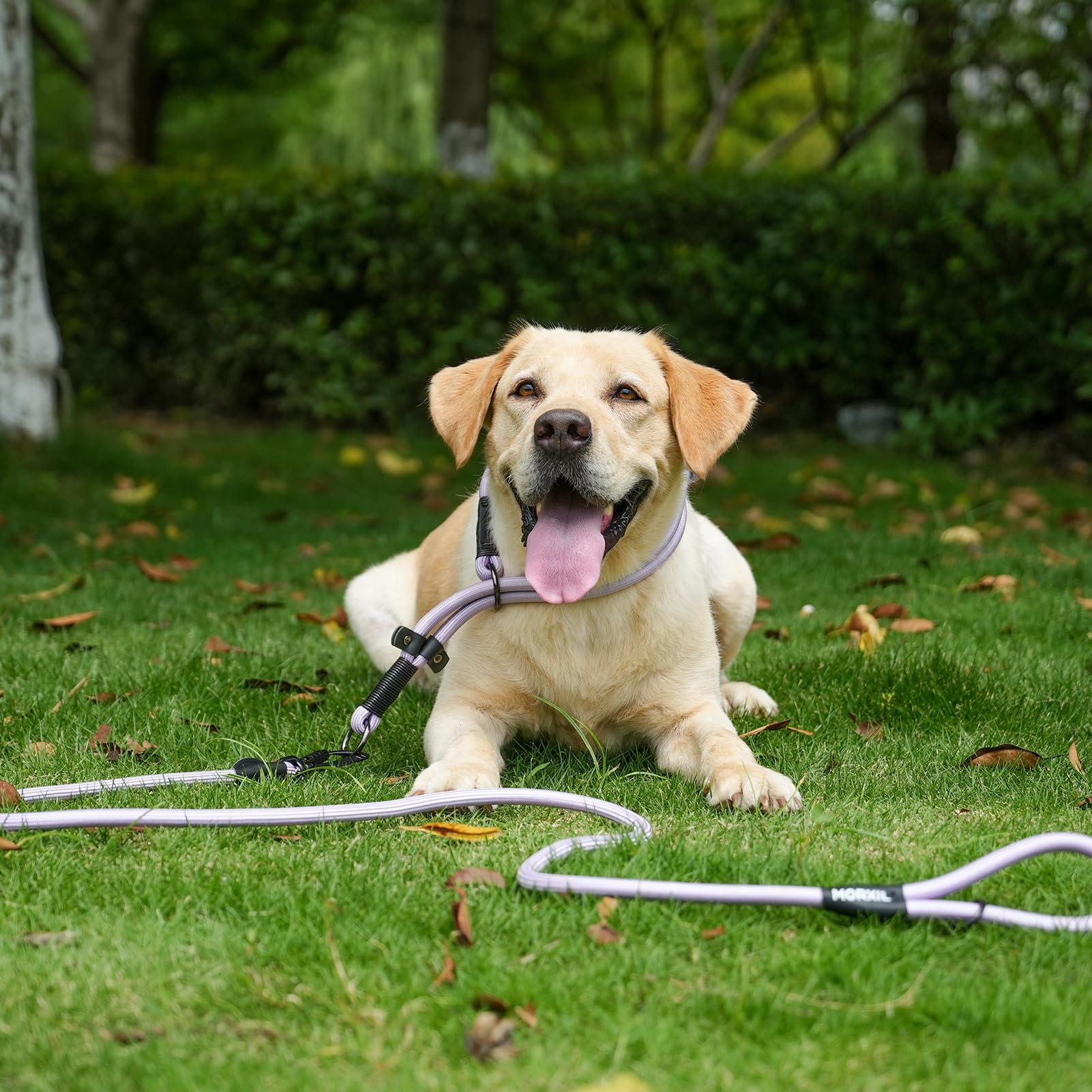 MORXIL 6-Foot Two-Handle Rope Dog Leash – Heavy Duty with Auto-Locking Carabiner, Blue