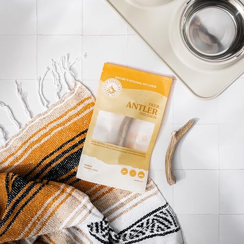 Mountain Valley Deer Antlers for Dogs – 100% Natural, Odor-Free, Long-Lasting Chew for Aggressive Chewers, Medium (1 Pack)