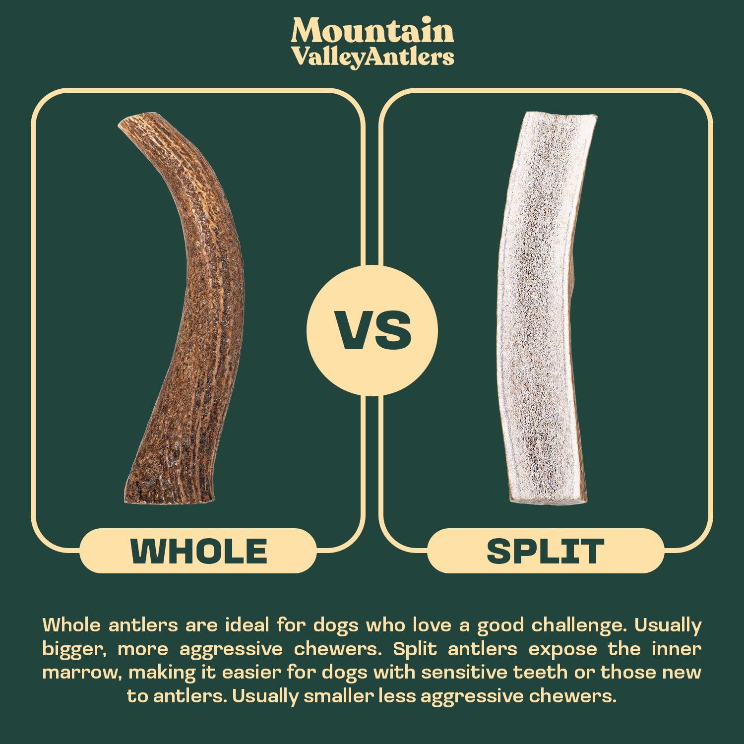 Mountain Valley Deer Antlers for Dogs – 100% Natural, Odor-Free, Long-Lasting Chew for Aggressive Chewers, Medium (1 Pack)