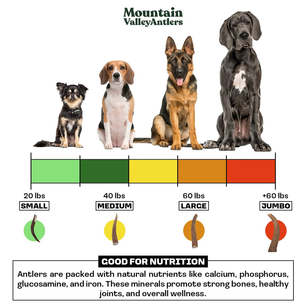 Mountain Valley Deer Antlers for Dogs – 100% Natural, Odor-Free, Long-Lasting Chew for Aggressive Chewers, Medium (1 Pack)