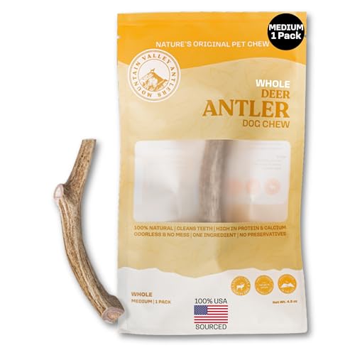 Mountain Valley Deer Antlers for Dogs – 100% Natural, Odor-Free, Long-Lasting Chew for Aggressive Chewers, Medium (1 Pack)