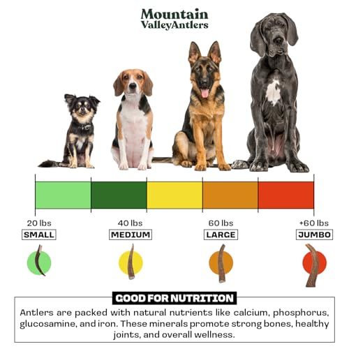 Mountain Valley Deer Antlers for Dogs – 100% Natural, Odor-Free, Long-Lasting Chew for Aggressive Chewers, Medium (1 Pack)