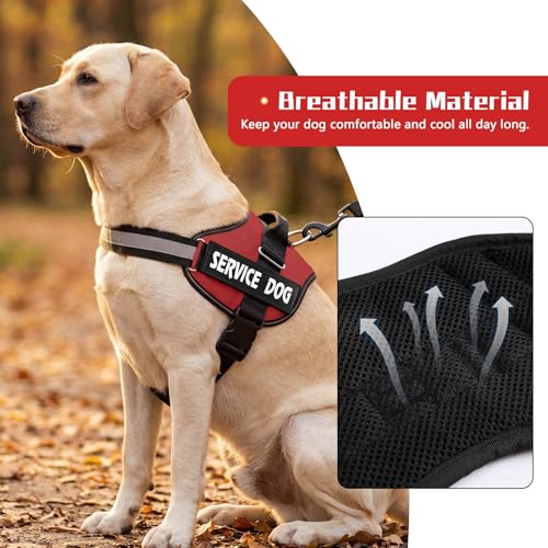 MUMUPET Service Dog Vest Harness - No Pull, Reflective, Adjustable with Handle, Soft Padding, 2 Patches (Red, Large)