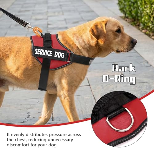 MUMUPET Service Dog Vest Harness - No Pull, Reflective, Adjustable with Handle, Soft Padding, 2 Patches (Red, Large)