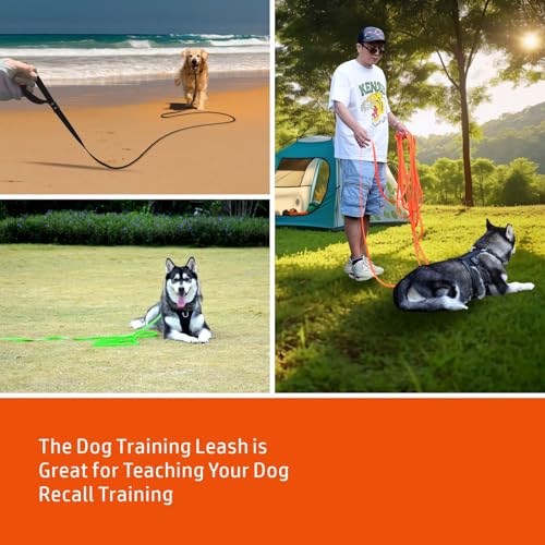 myyAA 16ft Orange Biothane Dog Leash – Waterproof, Heavy Duty, 700lb Pull Strength