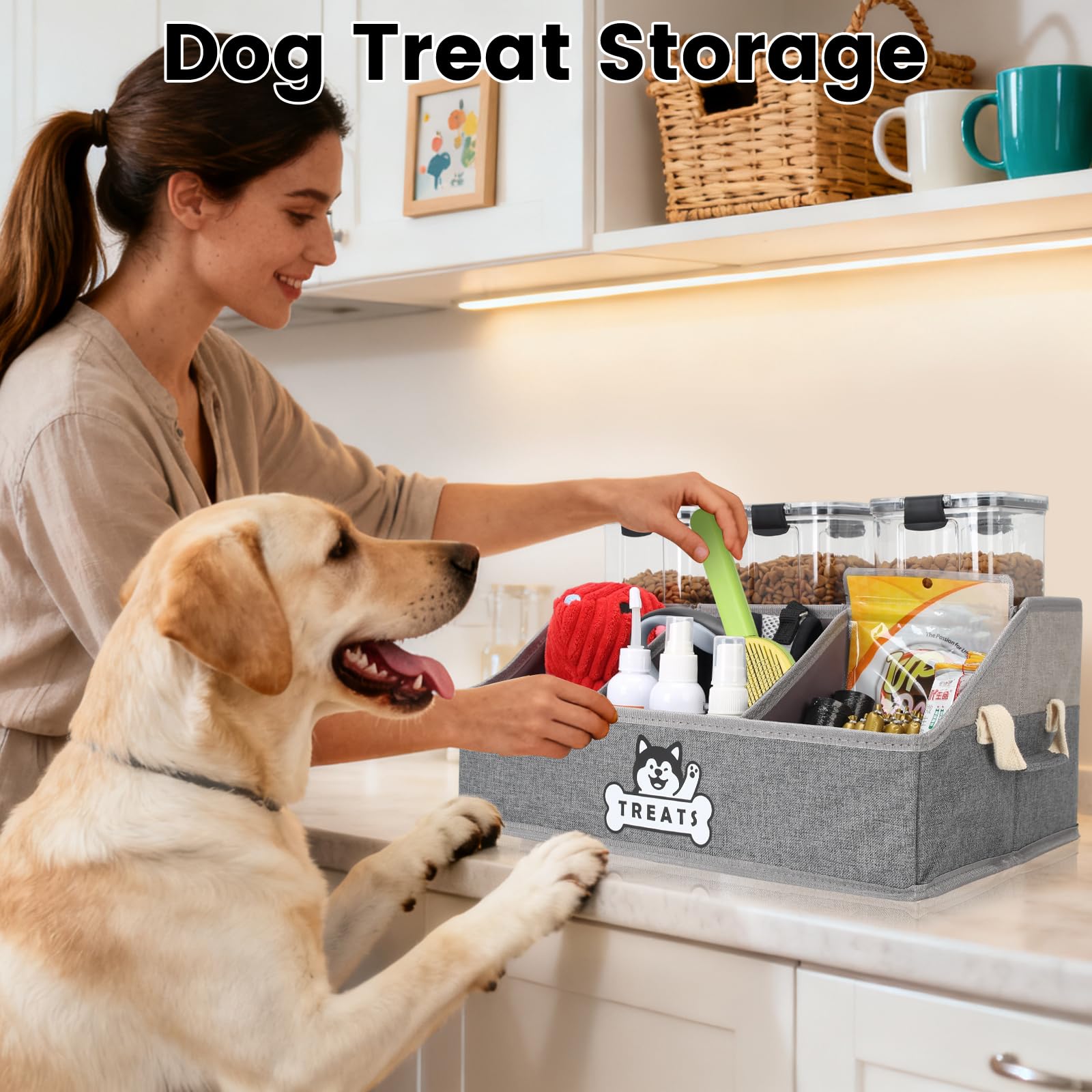 Nage-Bay Gray Dog Treat Container Basket with Removable Dividers, Foldable Pet Toy Box for Countertop, 15.8x11x7.1 Inches