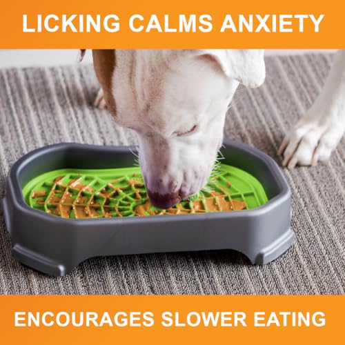 Neater Pets Neat-LIK Dog Lick Mat with Mess-Proof Tray - Green/Gunmetal - Slow Feeder & Anxiety Relief