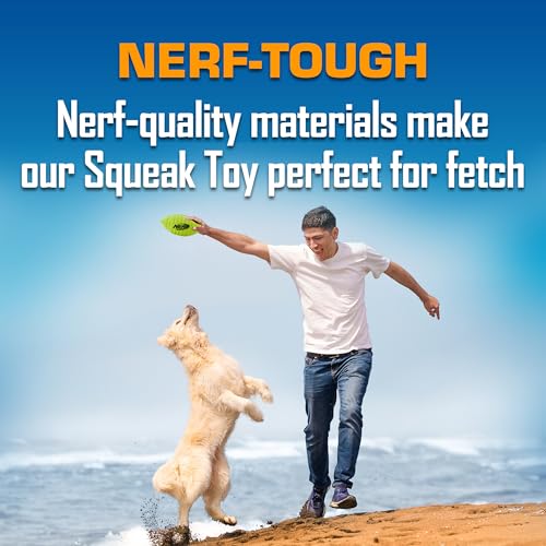 Nerf Dog Blitz Squeak Football 7-Inch Green – Outdoor Fetch Toy for Medium & Large Dogs