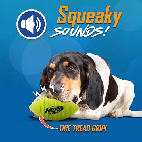 Nerf Dog Blitz Squeak Football 7-Inch Green – Outdoor Fetch Toy for Medium & Large Dogs