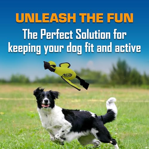 Nerf Dog Trackshot Launching Duck Dog Toy – 16.5-Inch Fetch Toy for Medium & Large Breeds, Green