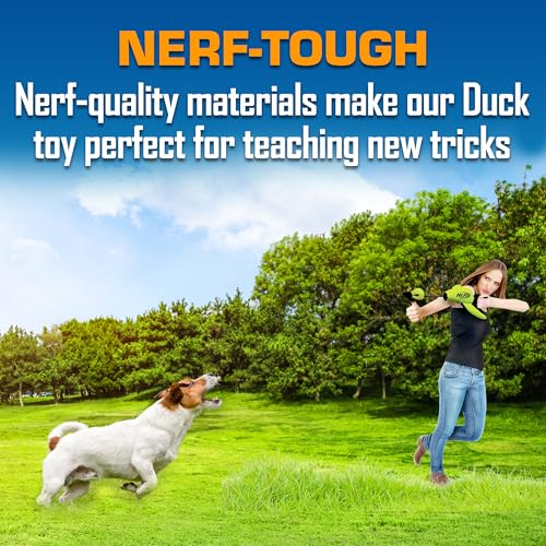 Nerf Dog Trackshot Launching Duck Dog Toy – 16.5-Inch Fetch Toy for Medium & Large Breeds, Green