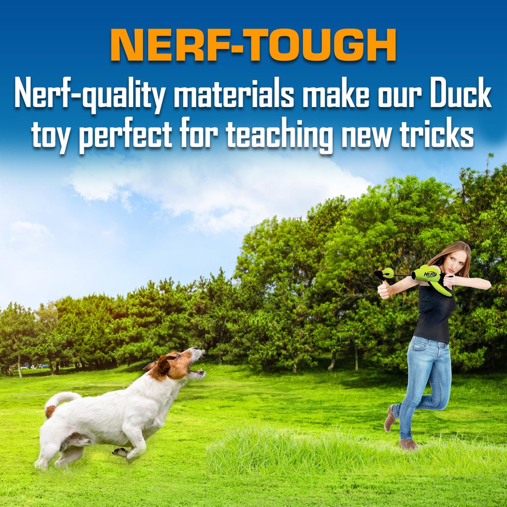 Nerf Dog Trackshot Launching Duck Dog Toy – 16.5-Inch Fetch Toy for Medium & Large Breeds, Green