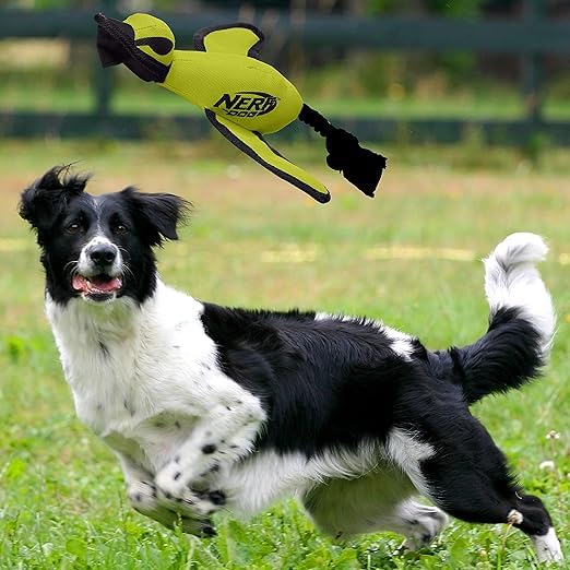 Nerf Dog Trackshot Launching Duck Dog Toy – 16.5-Inch Fetch Toy for Medium & Large Breeds, Green