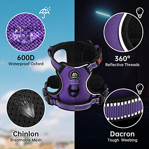 NESTROAD Small Dog Harness No Pull - Purple Vest with Leash and Reflective Strips