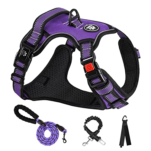 NESTROAD Small Dog Harness No Pull - Purple Vest with Leash and Reflective Strips