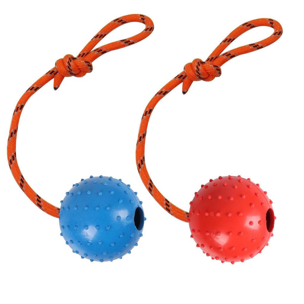 Nevperish 2-Pack Dog Ball on Rope - Natural Rubber K9 Fetch Toy (Blue & Red, 2.7-inch)