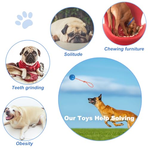 Nevperish 2-Pack Dog Ball on Rope - Natural Rubber K9 Fetch Toy (Blue & Red, 2.7-inch)