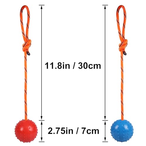 Nevperish 2-Pack Dog Ball on Rope - Natural Rubber K9 Fetch Toy (Blue & Red, 2.7-inch)