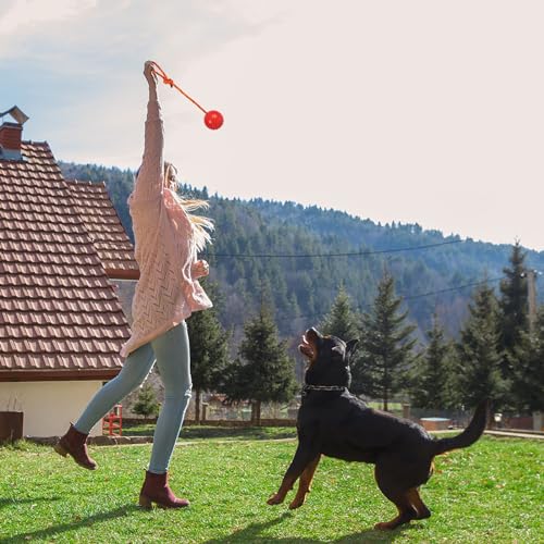Nevperish 2-Pack Dog Ball on Rope - Natural Rubber K9 Fetch Toy (Blue & Red, 2.7-inch)