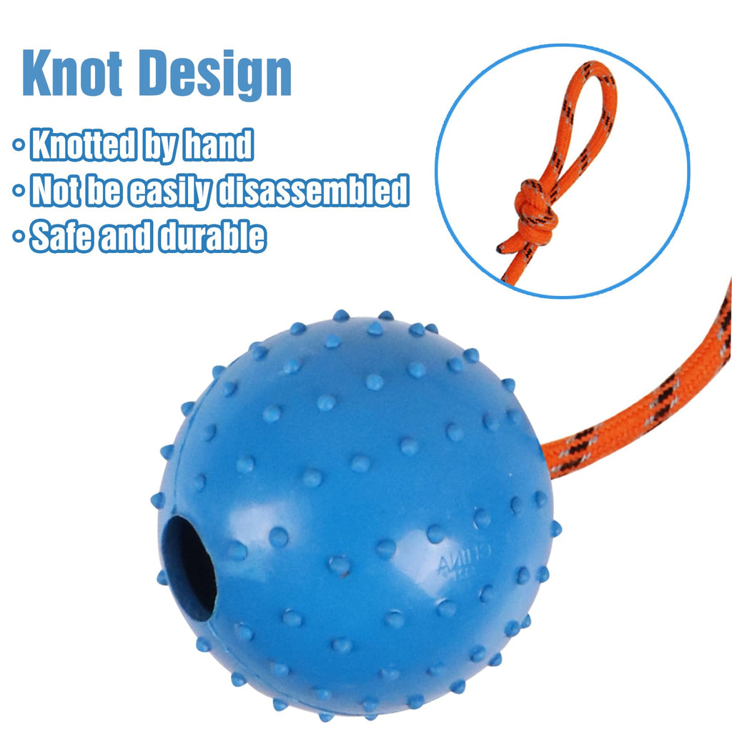 Nevperish 2-Pack Dog Ball on Rope - Natural Rubber K9 Fetch Toy (Blue & Red, 2.7-inch)