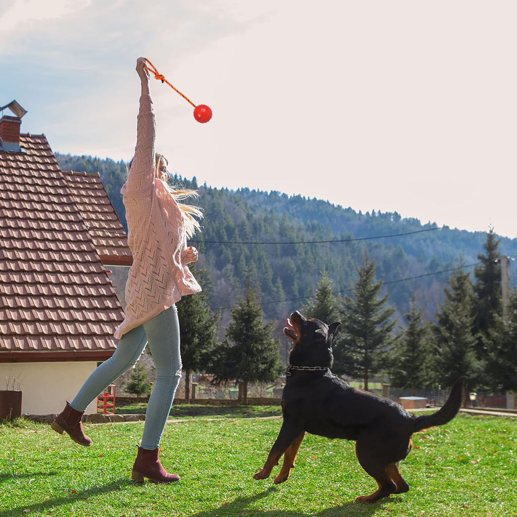 Nevperish 2-Pack Dog Ball on Rope - Natural Rubber K9 Fetch Toy (Blue & Red, 2.7-inch)