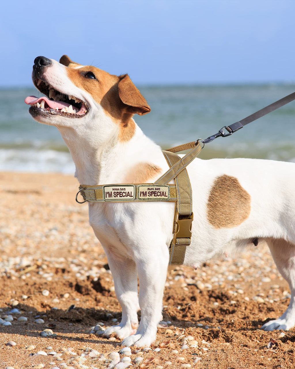 No Pull Dog Harness for Medium Large Dogs, Reflective Escape Proof Adjustable - QIFBYFB Brown Camo L