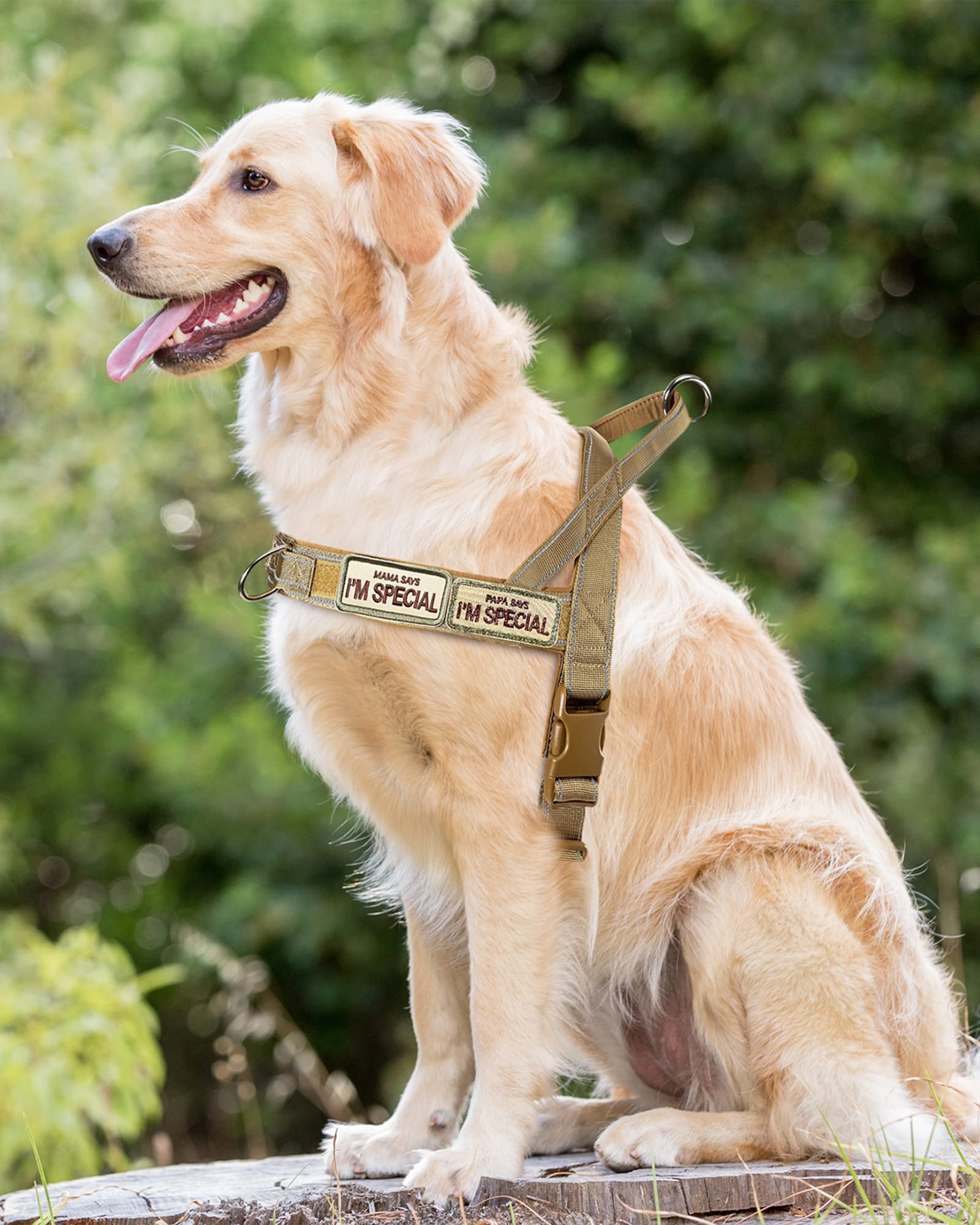 No Pull Dog Harness for Medium Large Dogs, Reflective Escape Proof Adjustable - QIFBYFB Brown Camo L