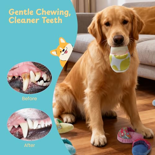Nocciola 10 Pack Slipper Dog Toys – Squeaky Crinkle Plush Set for Small & Medium Dogs
