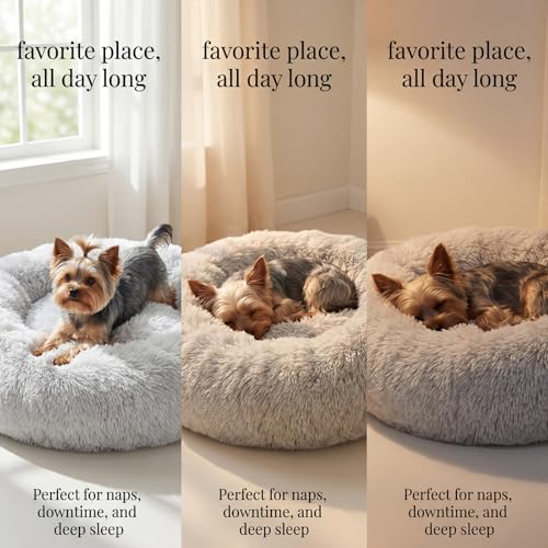 Nonnonfish Calming Donut Dog Bed for Small Dogs, 19-Inch Fluffy Round Bed with Raised Rim, Washable, Frost Grey (up to 15 lbs)