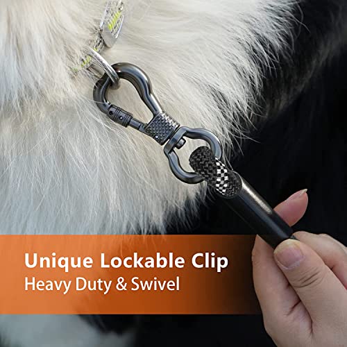 NTR 30-Foot Dog Leash with Dual Swivel Hooks, Reflective Stitching, and Comfort Grip Handle - Black