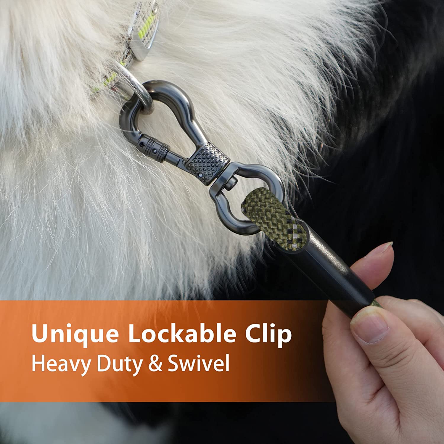 NTR 30-Foot Reflective Dog Leash with 2 Swivel Hooks and Padded Handle