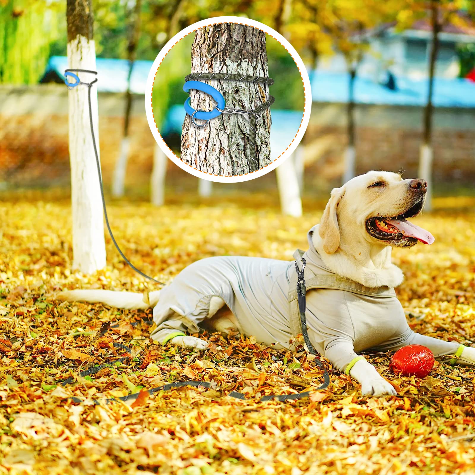 NTR 30-Foot Reflective Dog Leash with 2 Swivel Hooks and Padded Handle