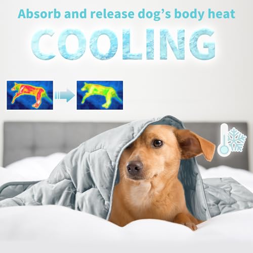 NWK Dog Cooling Blanket 30x40 Inches – Ice Silk, Q-Max>0.345, Reversible & Machine Washable (Misty Gray)