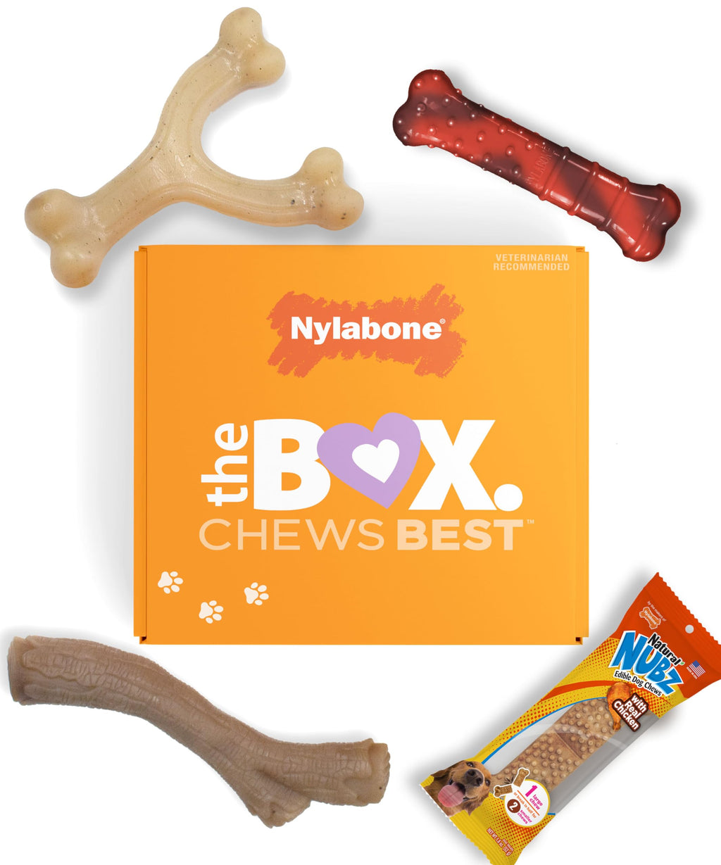 Nylabone Small Dog Gift Box: 3 Chew Toys + Natural Treat, Up to 25 lbs (4-Pack)