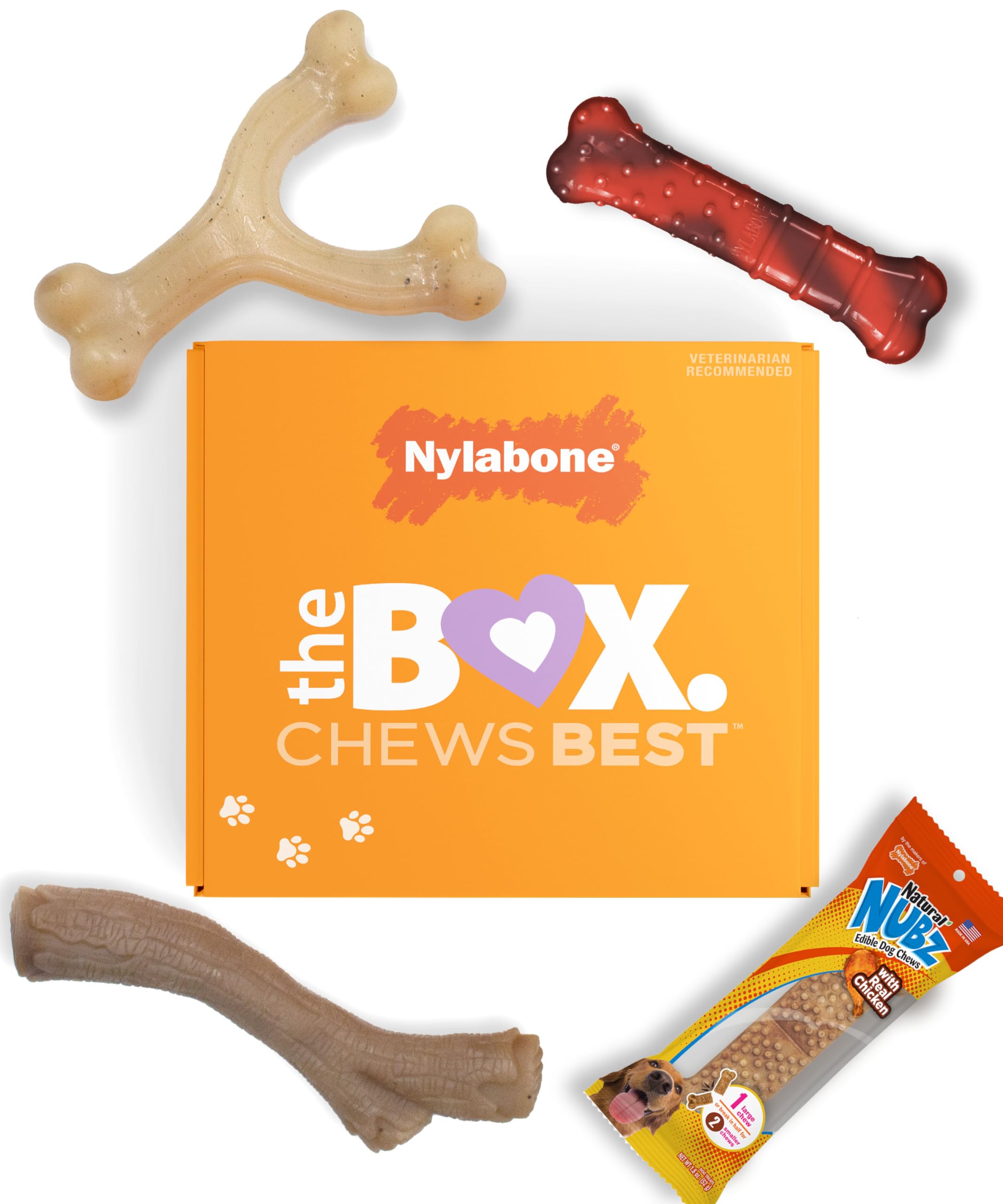 Nylabone Small Dog Gift Box: 3 Chew Toys + Natural Treat, Up to 25 lbs (4-Pack)