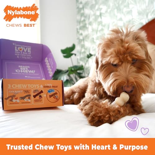 Nylabone Small Dog Gift Box: 3 Chew Toys + Natural Treat, Up to 25 lbs (4-Pack)
