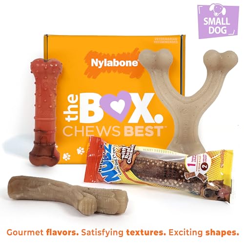 Nylabone Small Dog Gift Box: 3 Chew Toys + Natural Treat, Up to 25 lbs (4-Pack)