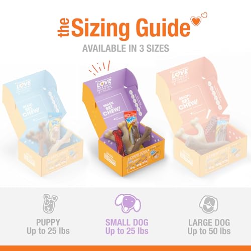 Nylabone Small Dog Gift Box: 3 Chew Toys + Natural Treat, Up to 25 lbs (4-Pack)