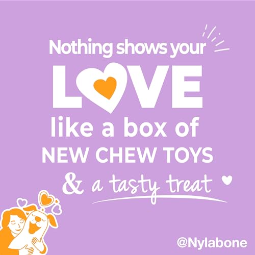 Nylabone Small Dog Gift Box: 3 Chew Toys + Natural Treat, Up to 25 lbs (4-Pack)