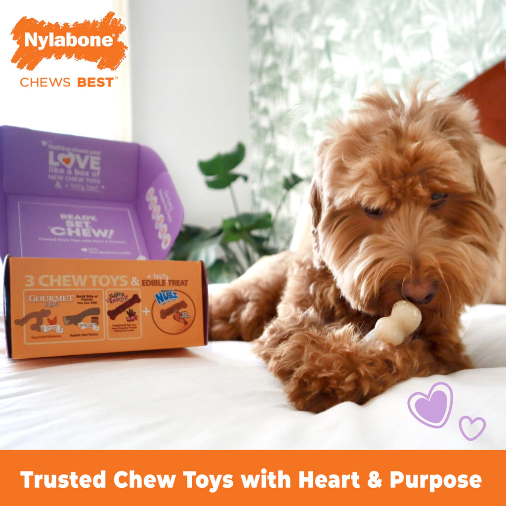 Nylabone Small Dog Gift Box: 3 Chew Toys + Natural Treat, Up to 25 lbs (4-Pack)