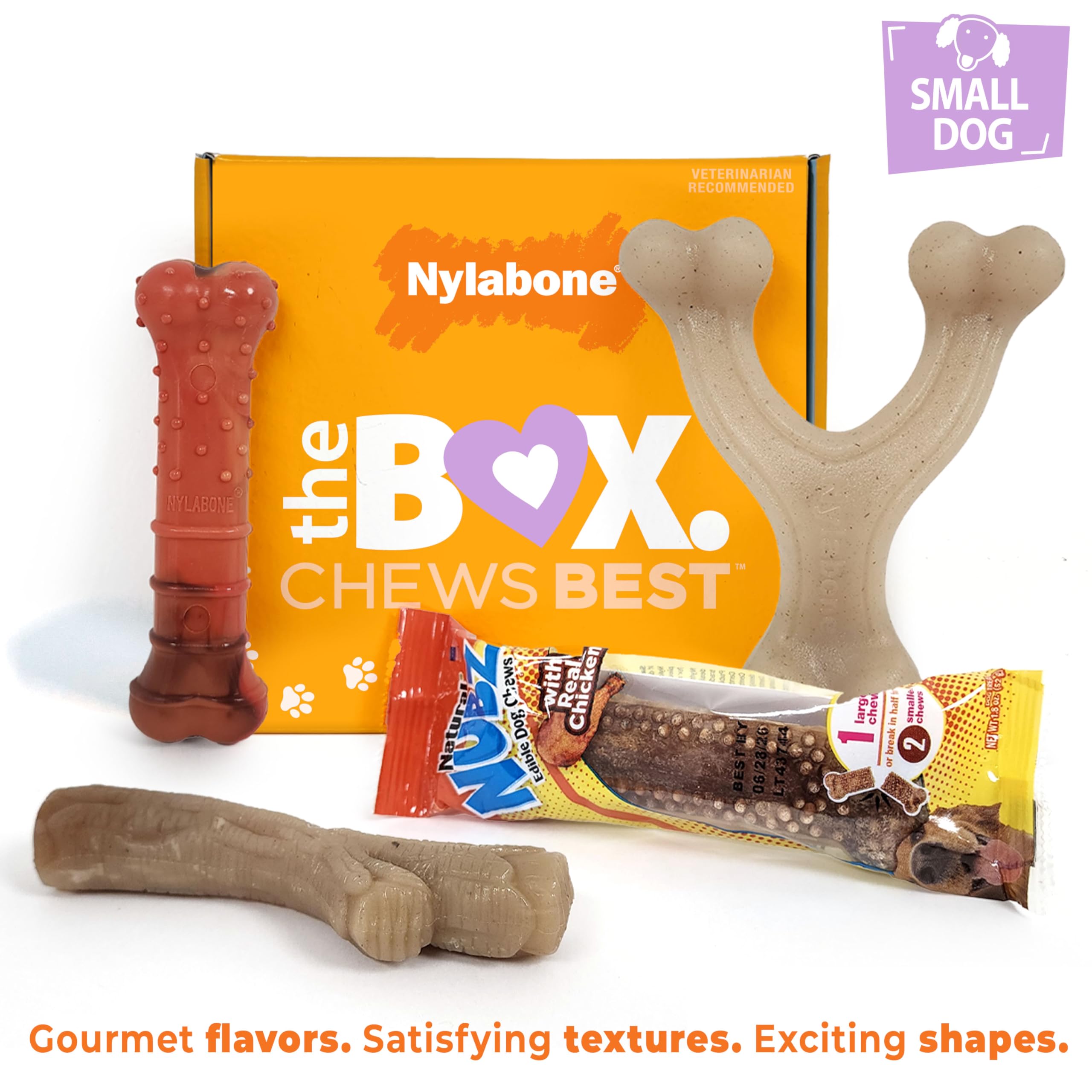 Nylabone Small Dog Gift Box: 3 Chew Toys + Natural Treat, Up to 25 lbs (4-Pack)