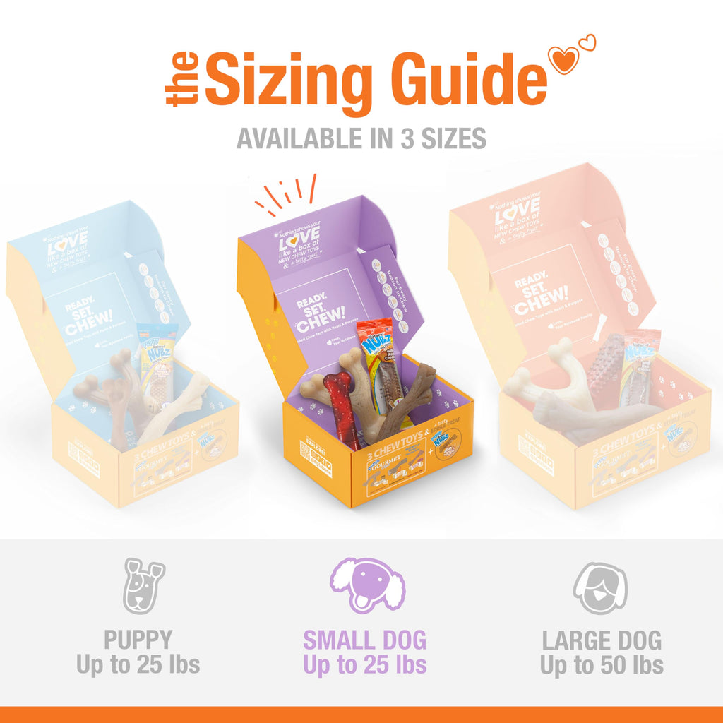 Nylabone Small Dog Gift Box: 3 Chew Toys + Natural Treat, Up to 25 lbs (4-Pack)