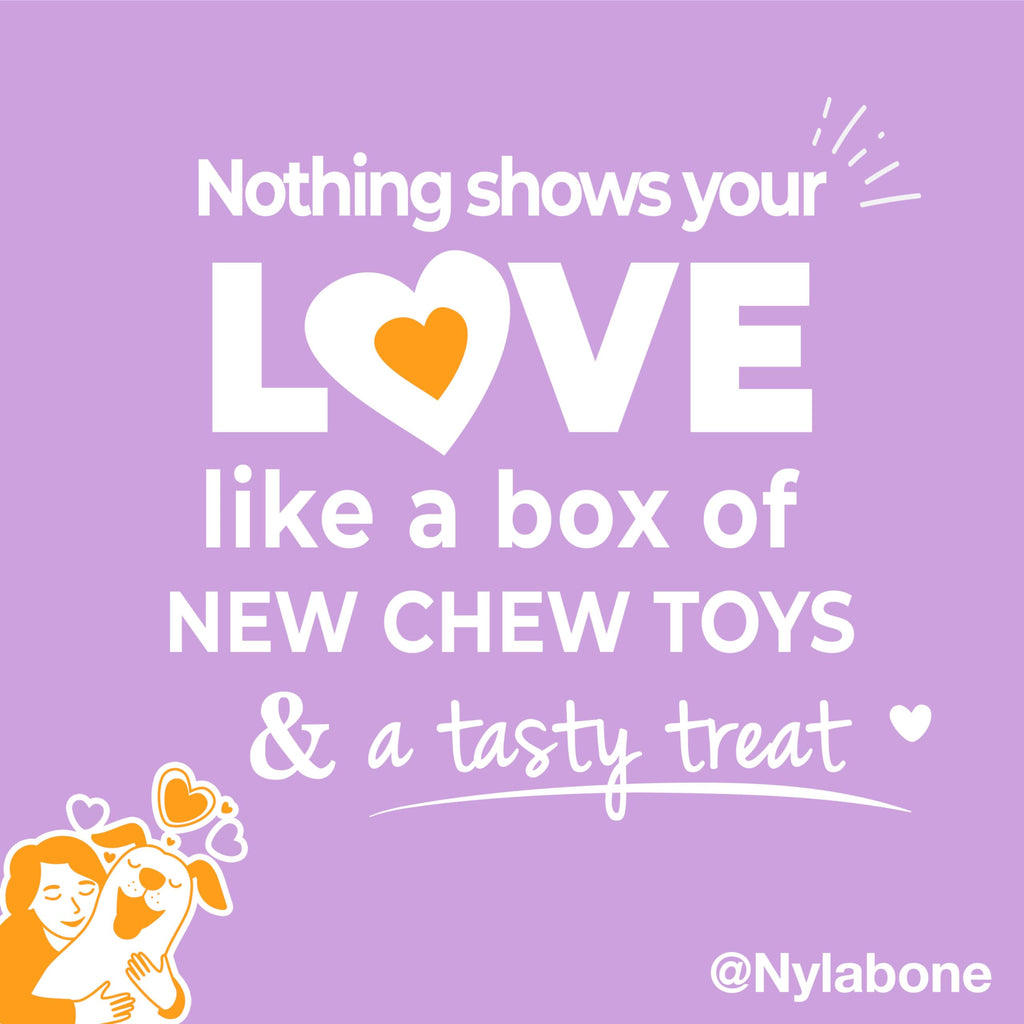 Nylabone Small Dog Gift Box: 3 Chew Toys + Natural Treat, Up to 25 lbs (4-Pack)