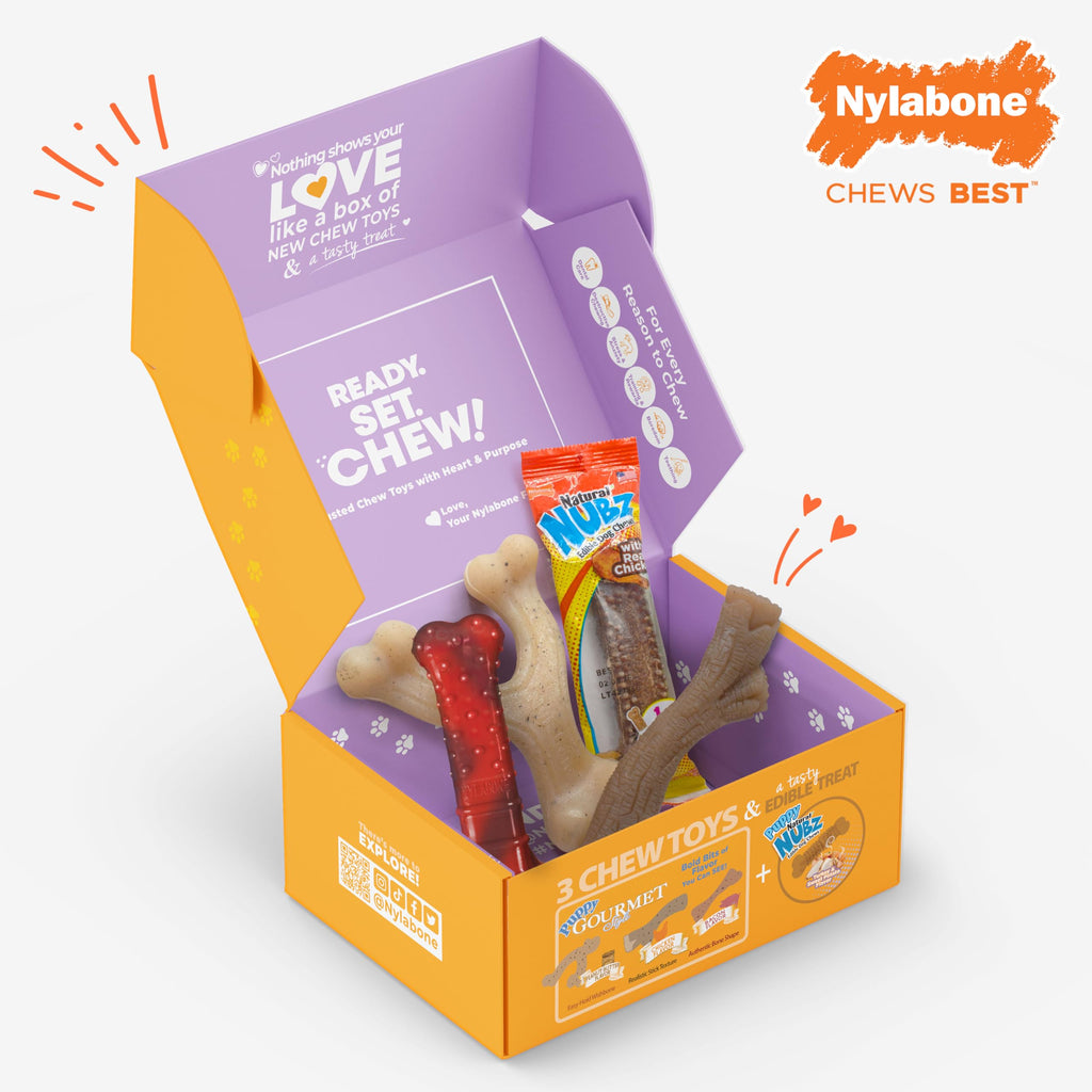 Nylabone Small Dog Gift Box: 3 Chew Toys + Natural Treat, Up to 25 lbs (4-Pack)