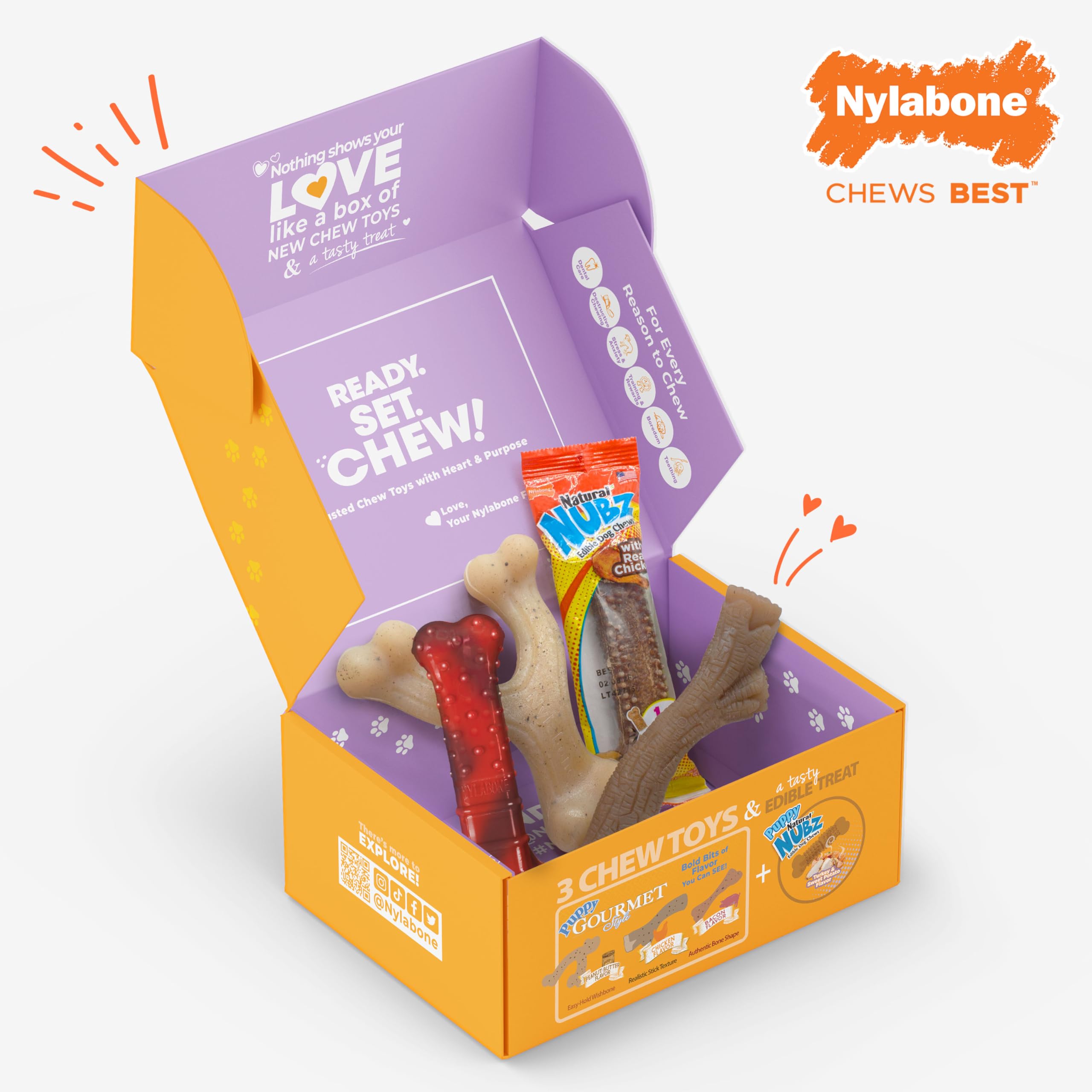Nylabone Small Dog Gift Box: 3 Chew Toys + Natural Treat, Up to 25 lbs (4-Pack)