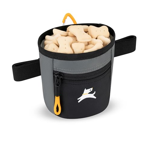OllyDog Goodie Treat Bag – Magnetic Closure Dog Training Pouch with 3 Ways to Wear (Castle Rock)