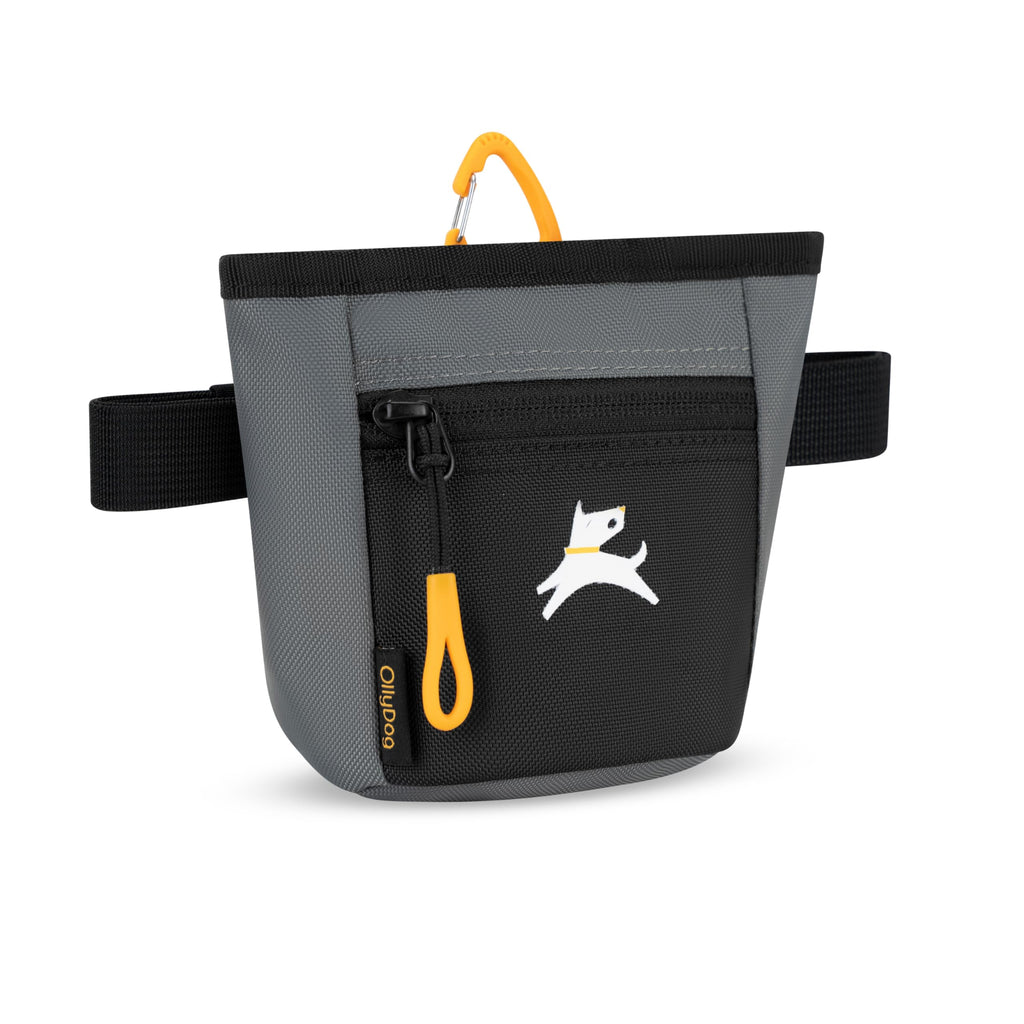 OllyDog Goodie Treat Bag – Magnetic Closure Dog Training Pouch with 3 Ways to Wear (Castle Rock)