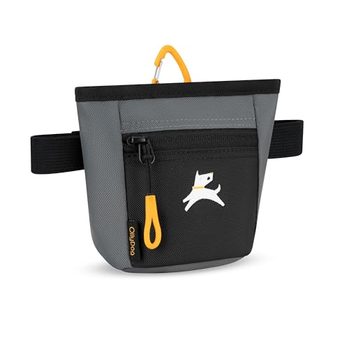 OllyDog Goodie Treat Bag – Magnetic Closure Dog Training Pouch with 3 Ways to Wear (Castle Rock)