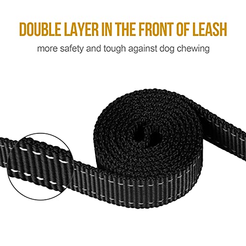 OneTigris 4FT Dog Leash with Dual Padded Handles - Reflective No-Pull Training Leash for Medium to Large Dogs (Black)