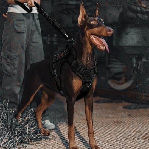 ONETIGRIS Tactical Dog Training Bungee Leash with 2 Handles – Heavy-Duty Nylon (Black)